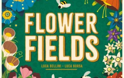 Flower Fields