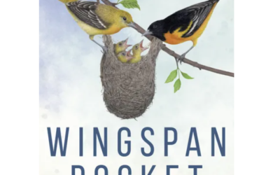 Wingspan Pocket